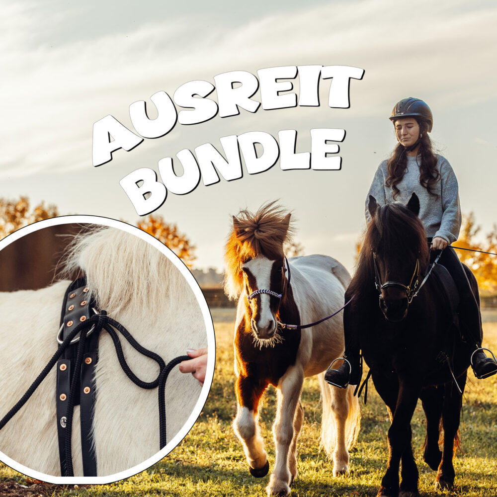 Ausreit Bundle