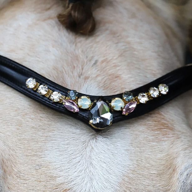 Stirnriemen Aschrose