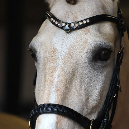 Masego Odessa Bonita