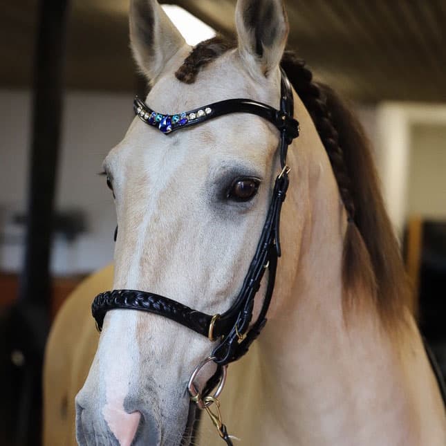 Masego Odessa Bonita