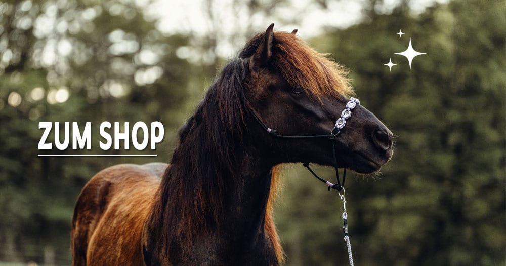 zum_shop
